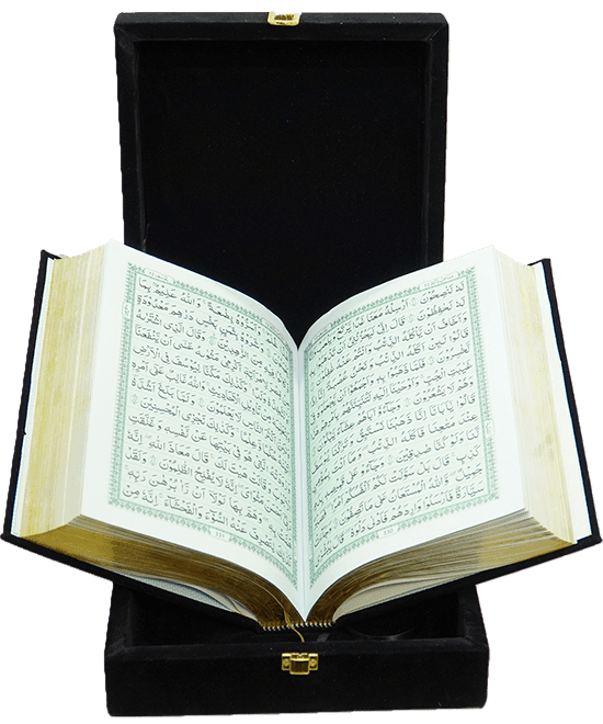 Al Quran Al Kareem - (Velvet Gift Packing)