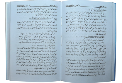 Misali Muslman Aurat 