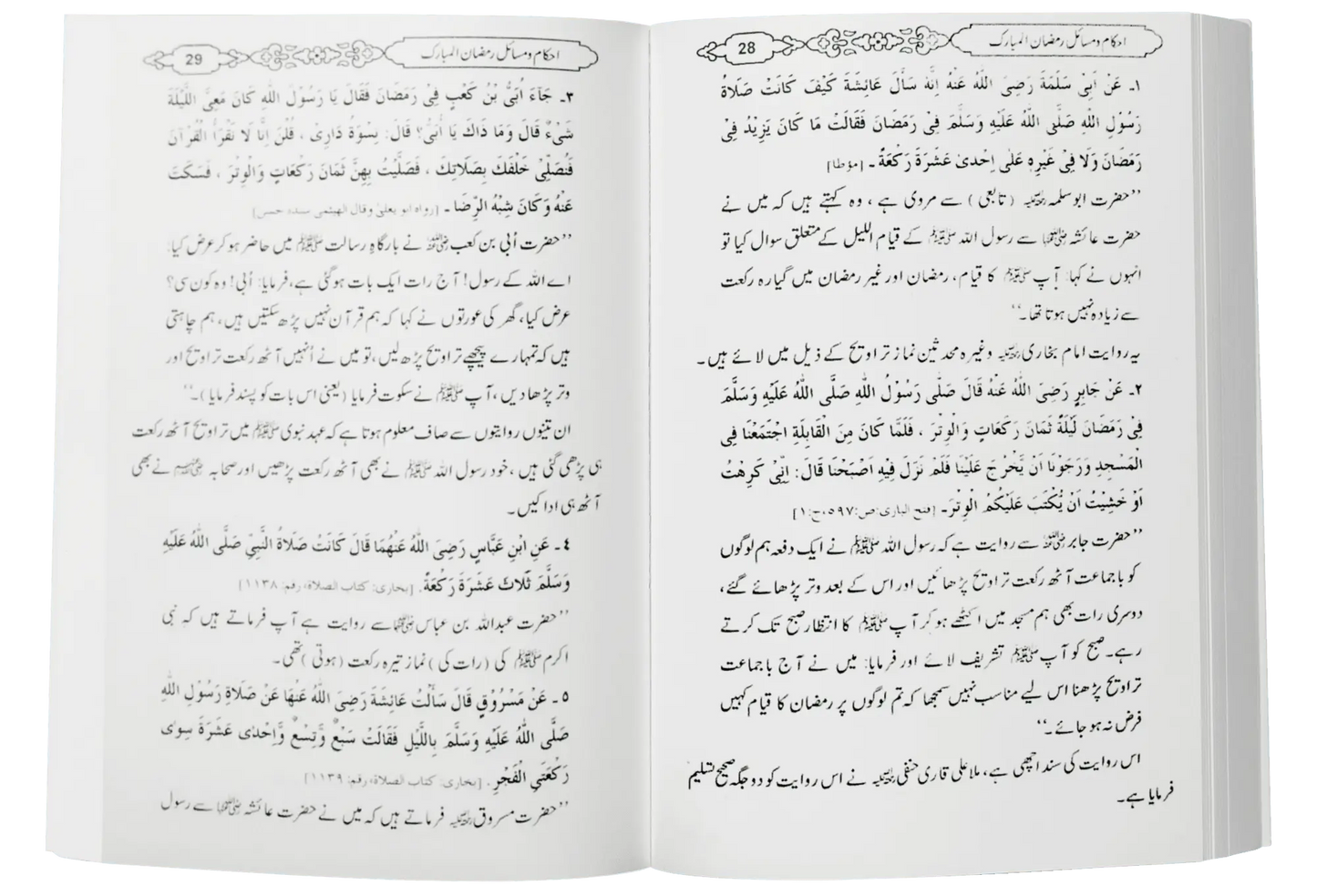 Ramzan Kaisy Guzarain? (Large) 