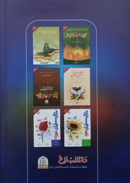 Ramzan Kaisy Guzarain? (Large) 