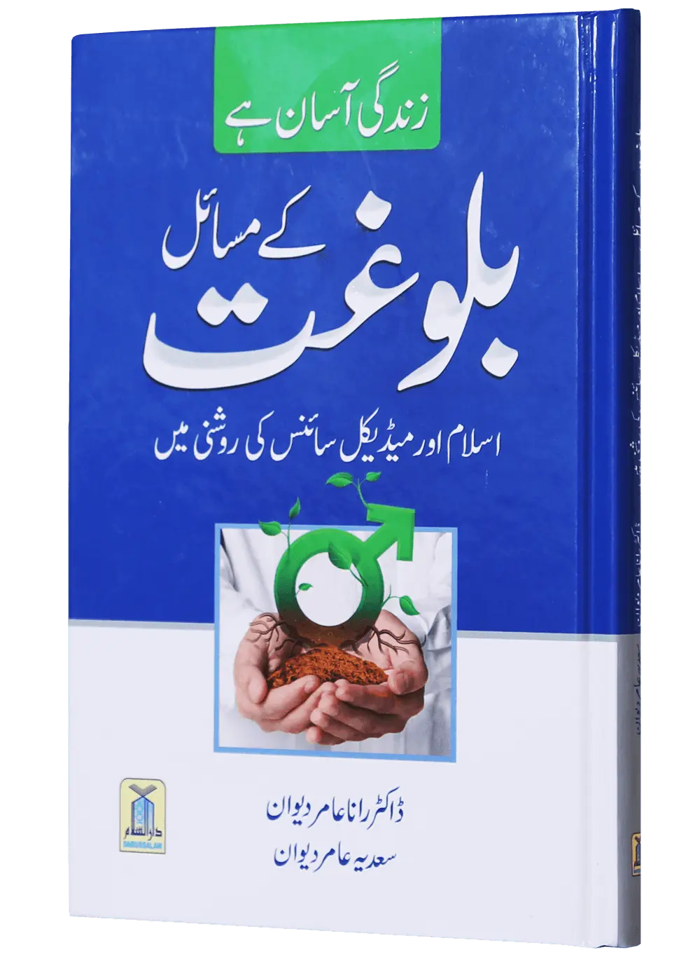 Balooghat Kay Masaail 