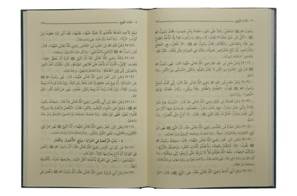 Bulugh ul Maraam-Imported (Arabic with Aa`raab)