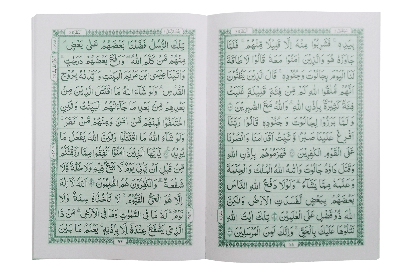 Complete Parah set (16 Lines Siparah Set - Soft cover)