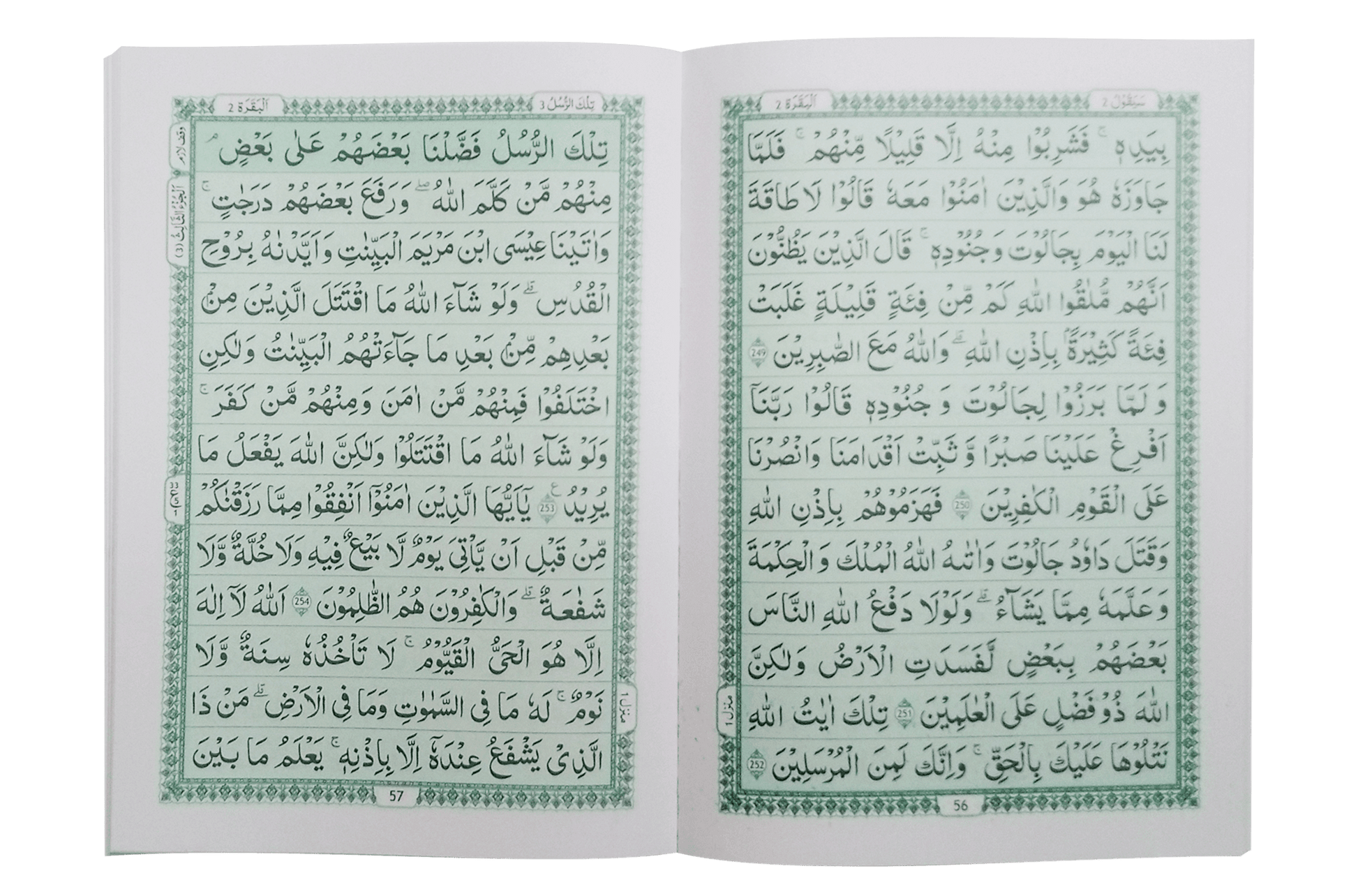 Complete Parah set (16 Lines Siparah Set - Soft cover)