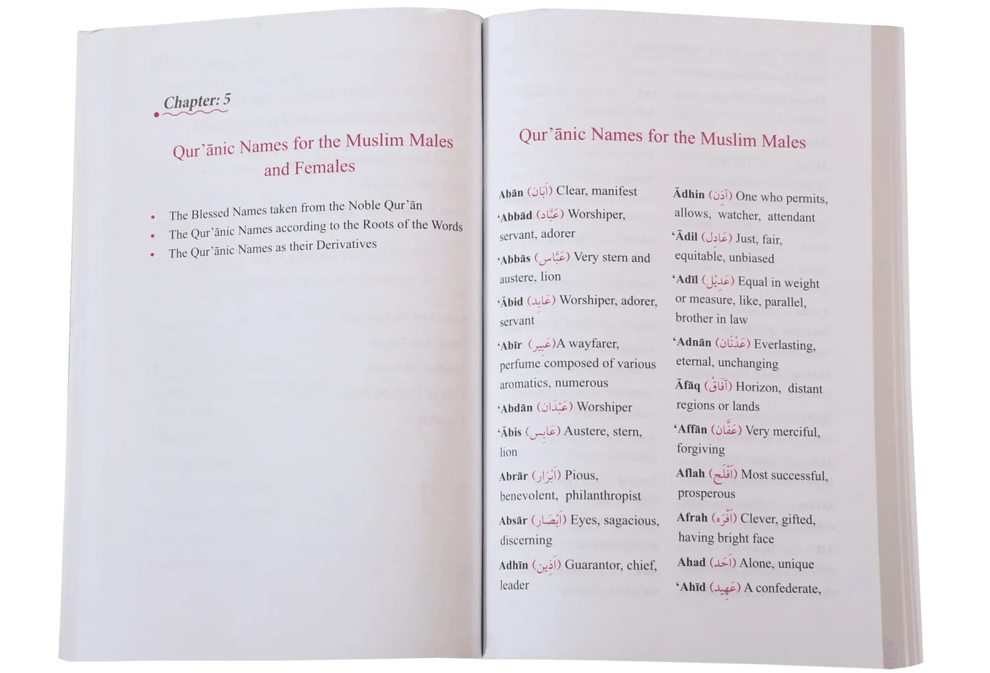 Dictionary of Islamic Names