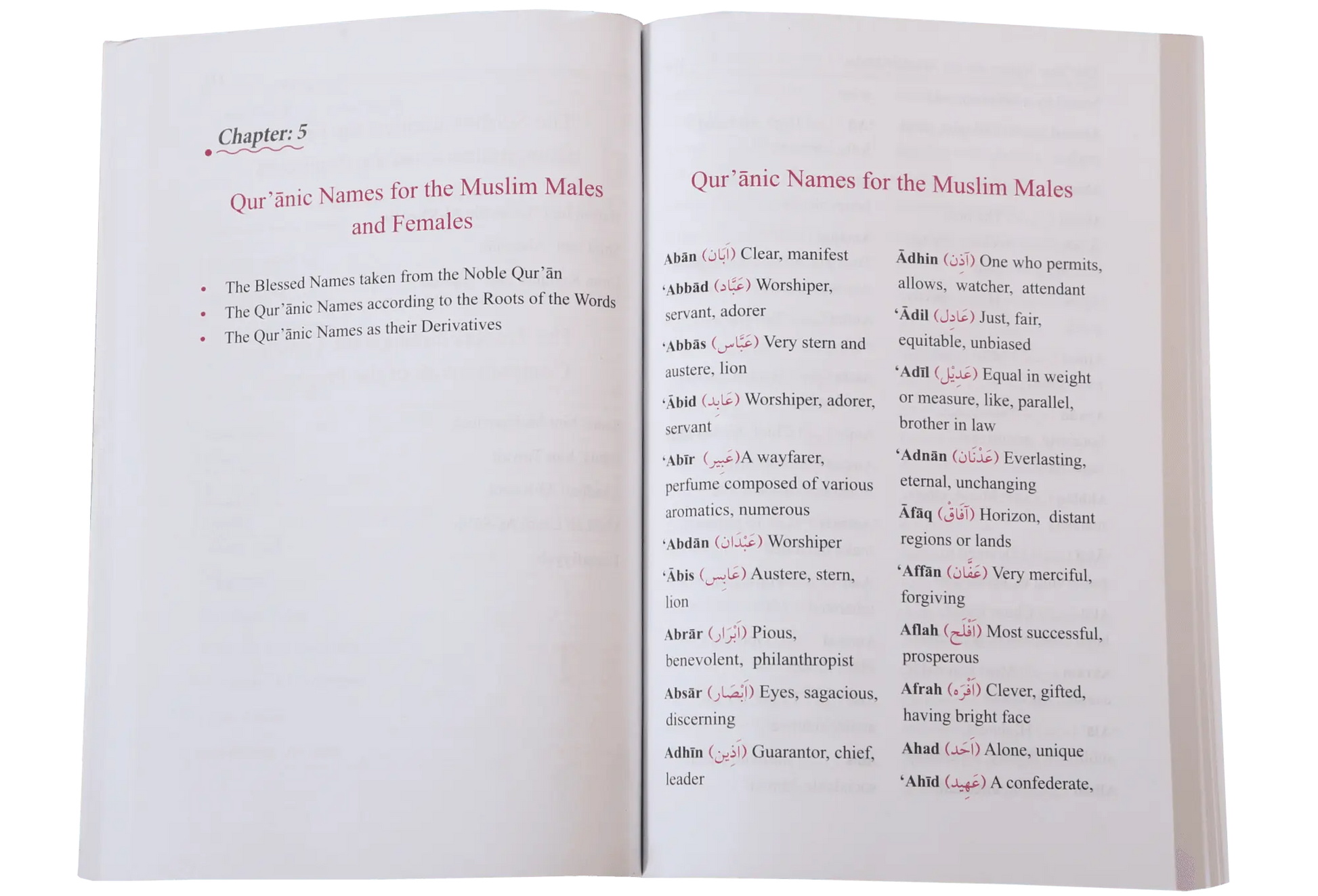 Dictionary of Islamic Names