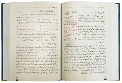 Encyclopedia Seerat Sahaba Karam (Volume # 1).