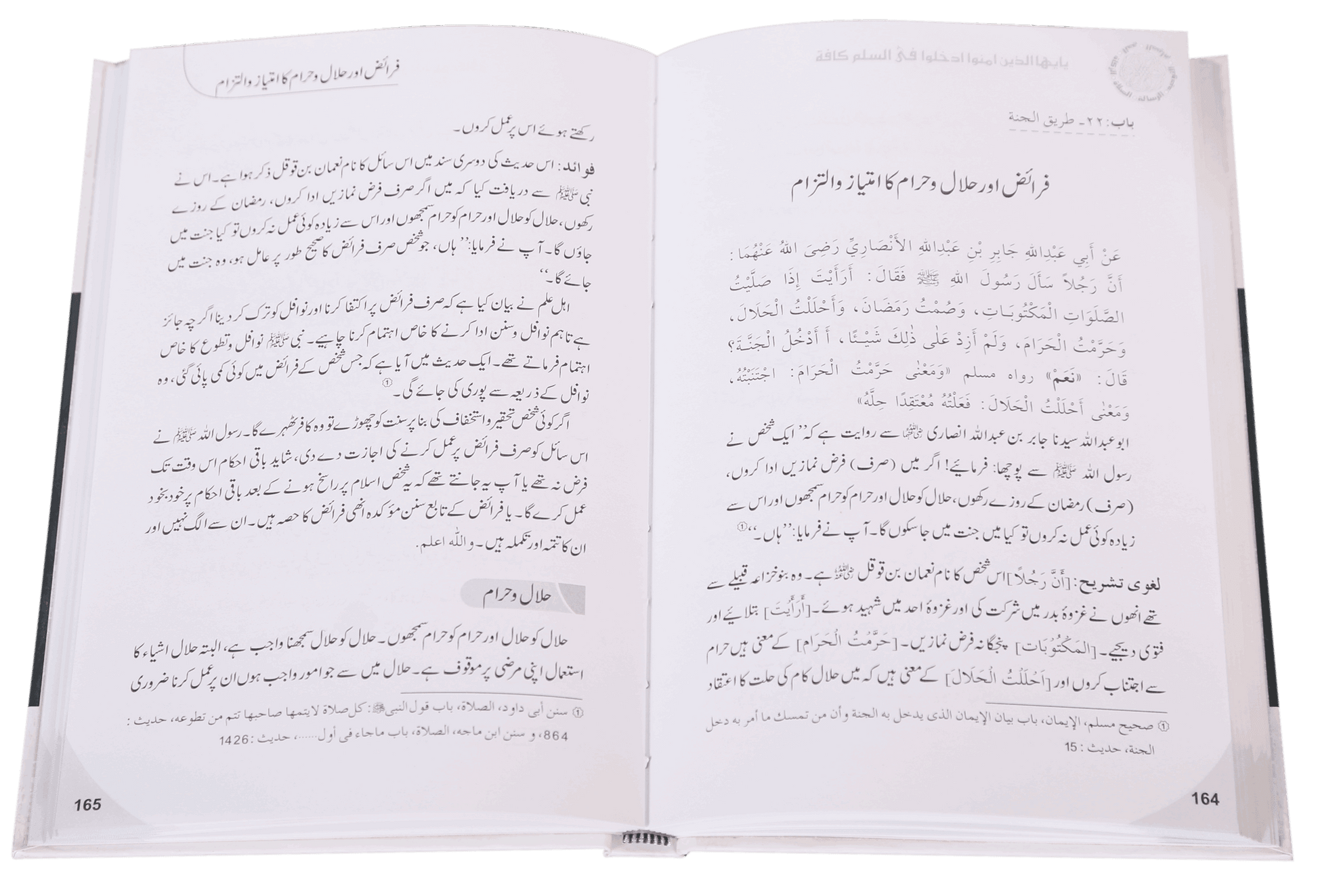 Islam Ke Ahkam o Aadaab (New Edition)