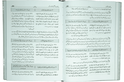 Mukhtasir Sahih Al-Bukhari (2 volume Set)