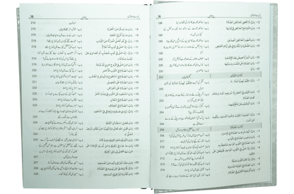 Mukhtasir Sahih Al-Bukhari (2 volume Set)