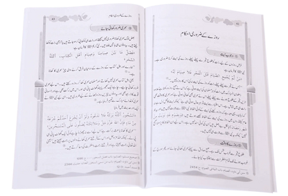 Ramdan ul Mubarak (Short Book) 