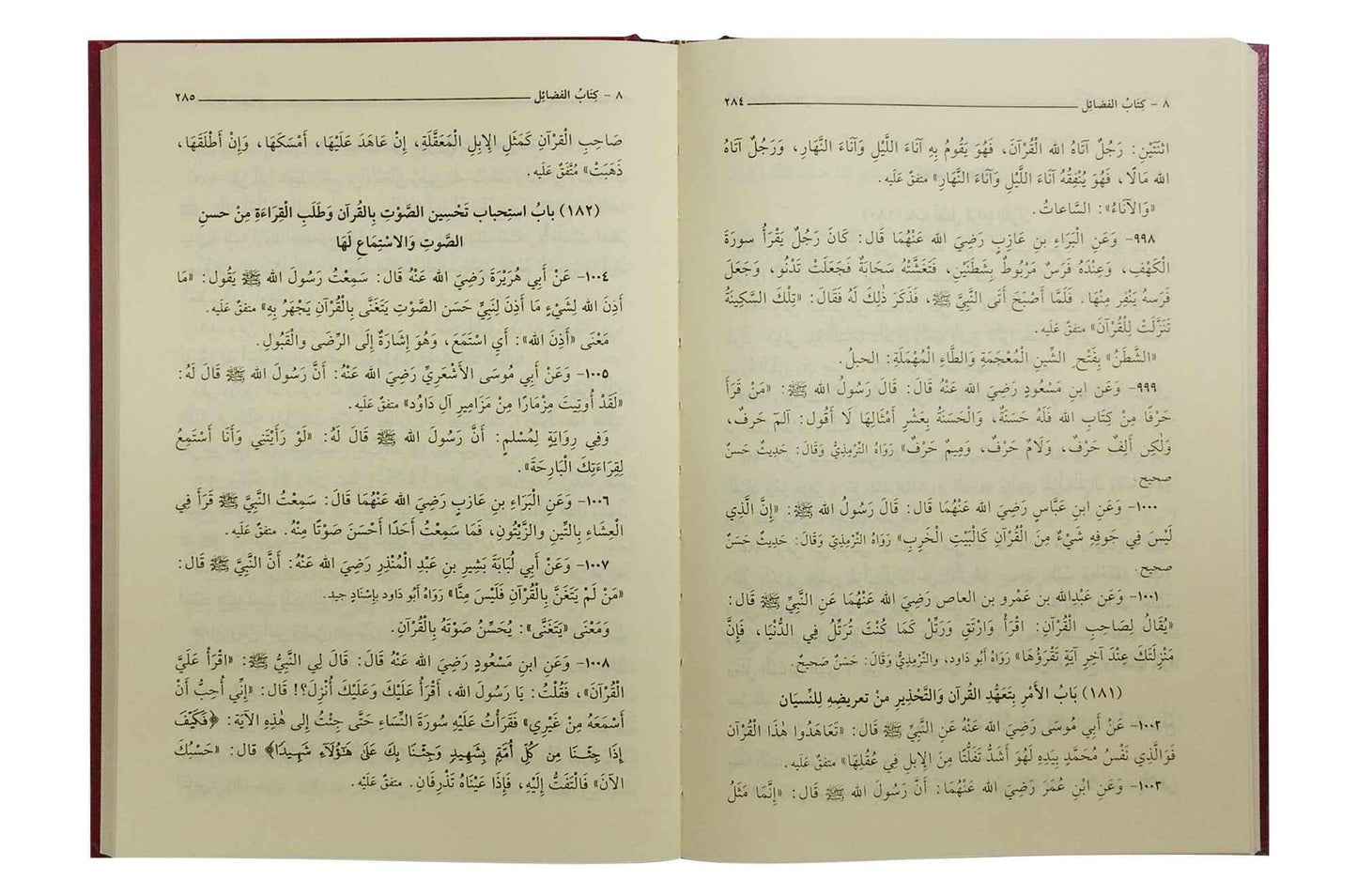 Riyad us saliheen - Arabic 17x24