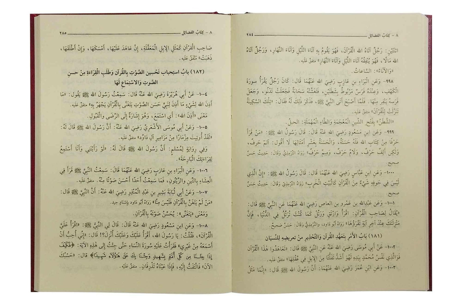 Riyad us saliheen - Arabic 17x24