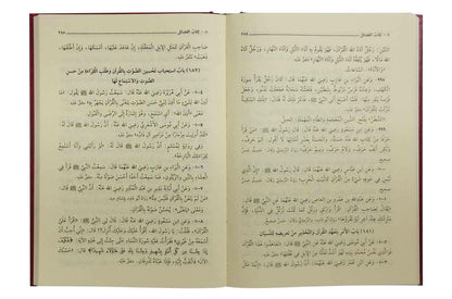 Riyad us saliheen - Arabic 17x24