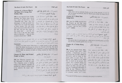 Sunan Abu Daood (5 vol set - English)