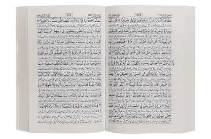 Tafsir Ahsan ul Kalaam (Soft Cover)