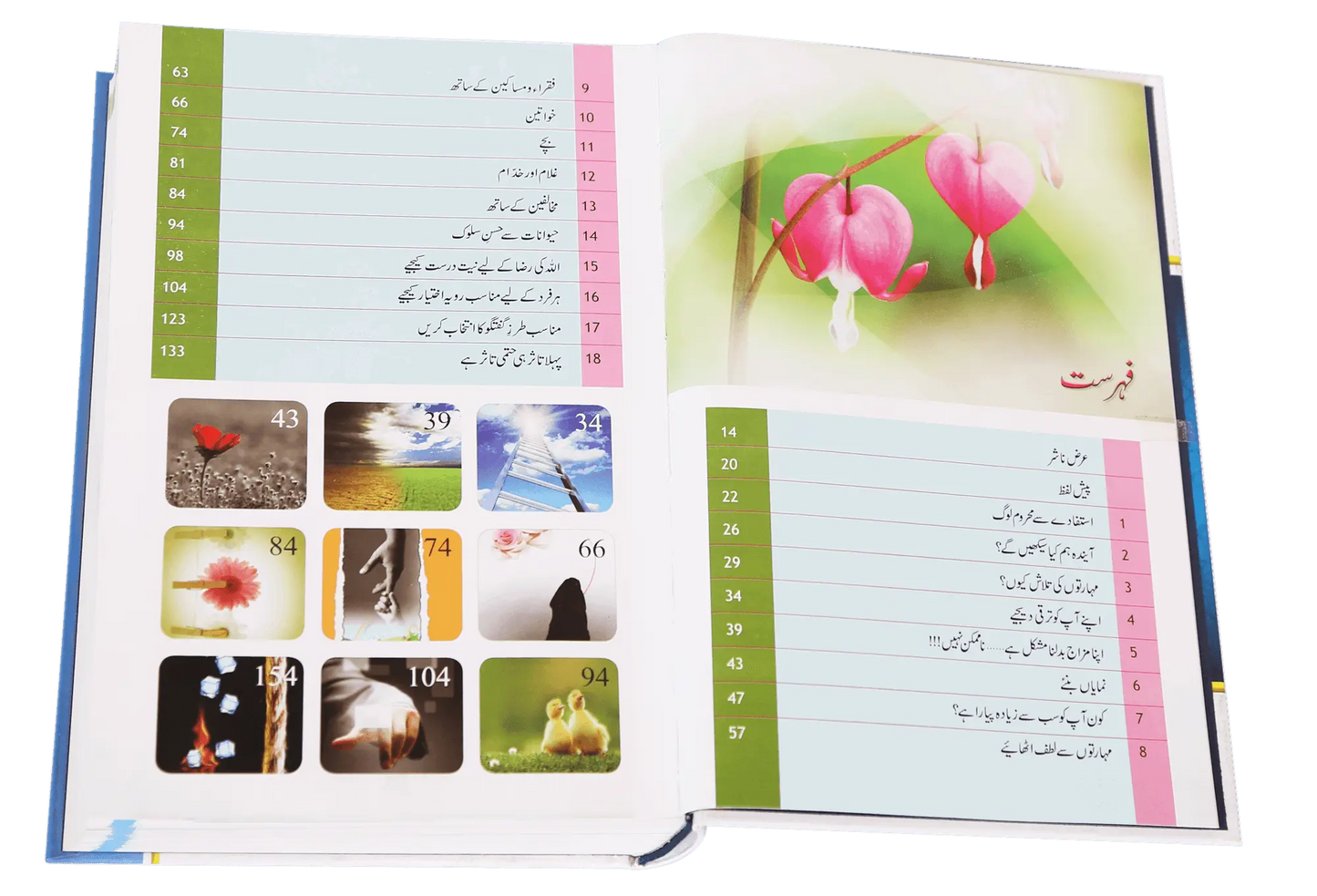 Zindagi Se Lutaf Uthaye (Hard Cover) - Art Paper