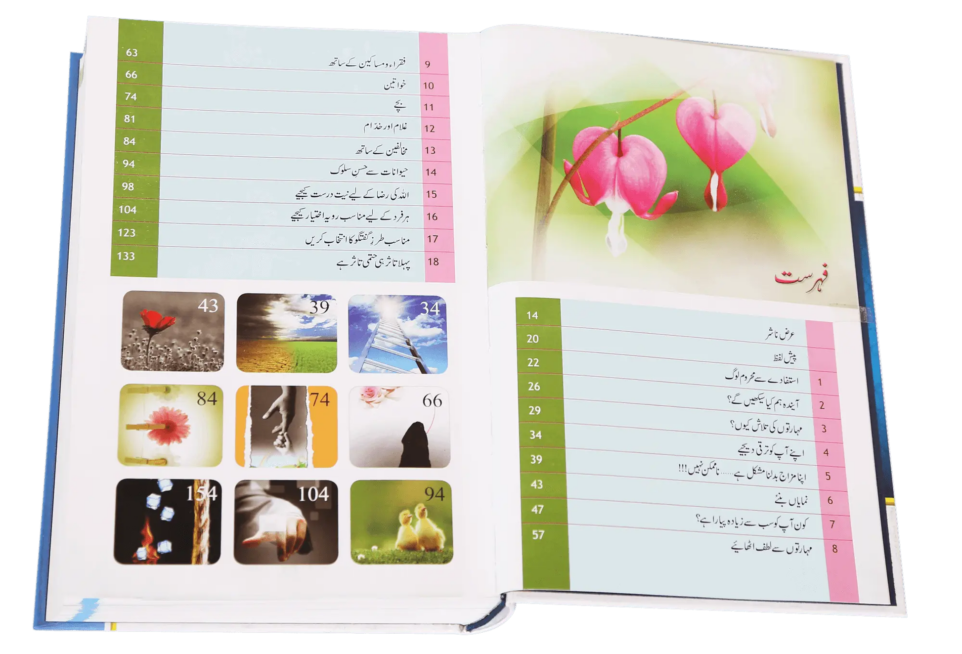 Zindagi Se Lutaf Uthaye (Hard Cover) - Art Paper