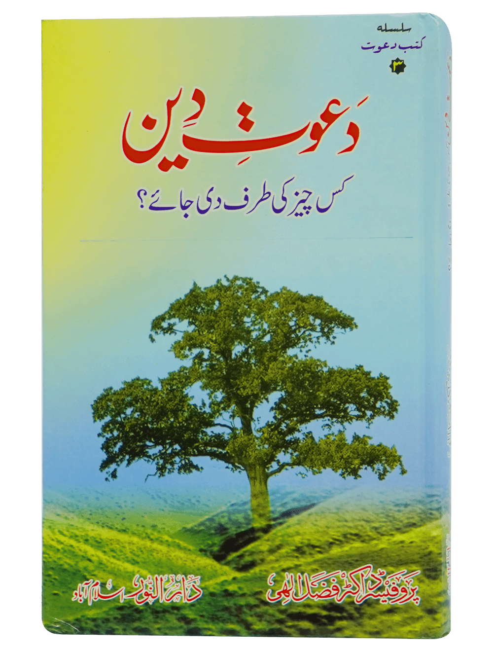 Dawaat e Deen Kis cheez ki tarf Di jaye