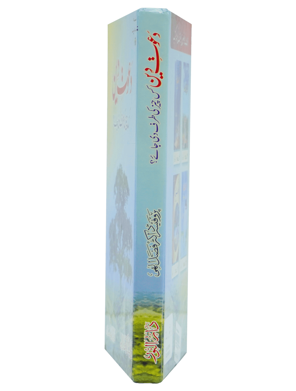 Dawaat e Deen Kis cheez ki tarf Di jaye