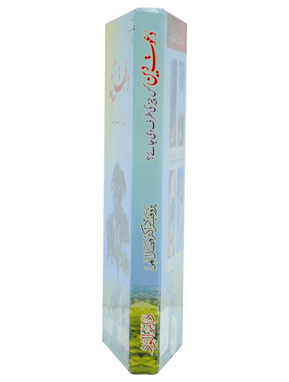 Dawaat e Deen Kis cheez ki tarf Di jaye