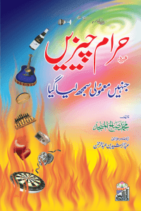 Haram Chezain (Jinhen Mamoli Samjh Liya Giya)