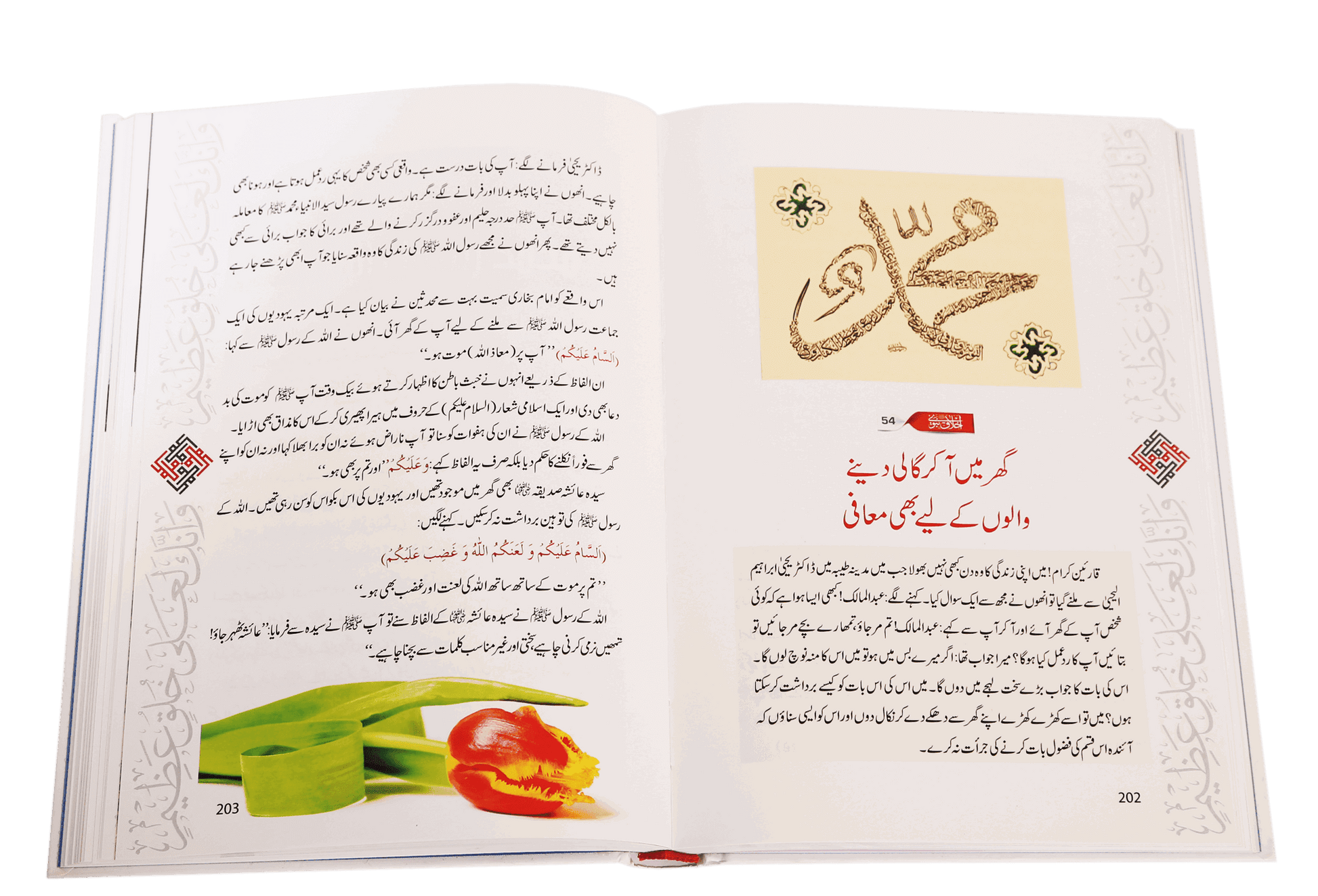 Ikhlaaq E Nabvi Ke Sunehre Waqeyat