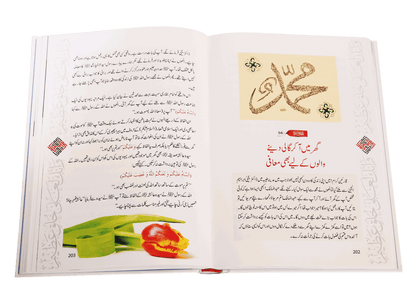 Ikhlaaq E Nabvi Ke Sunehre Waqeyat