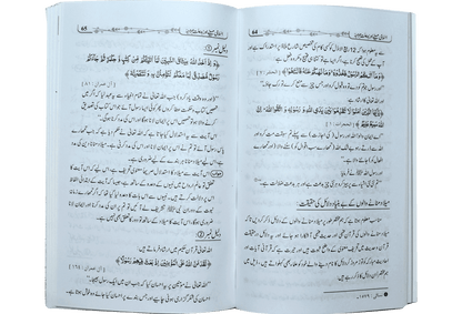 Islami Mahiny Or Bidaat Marwajah