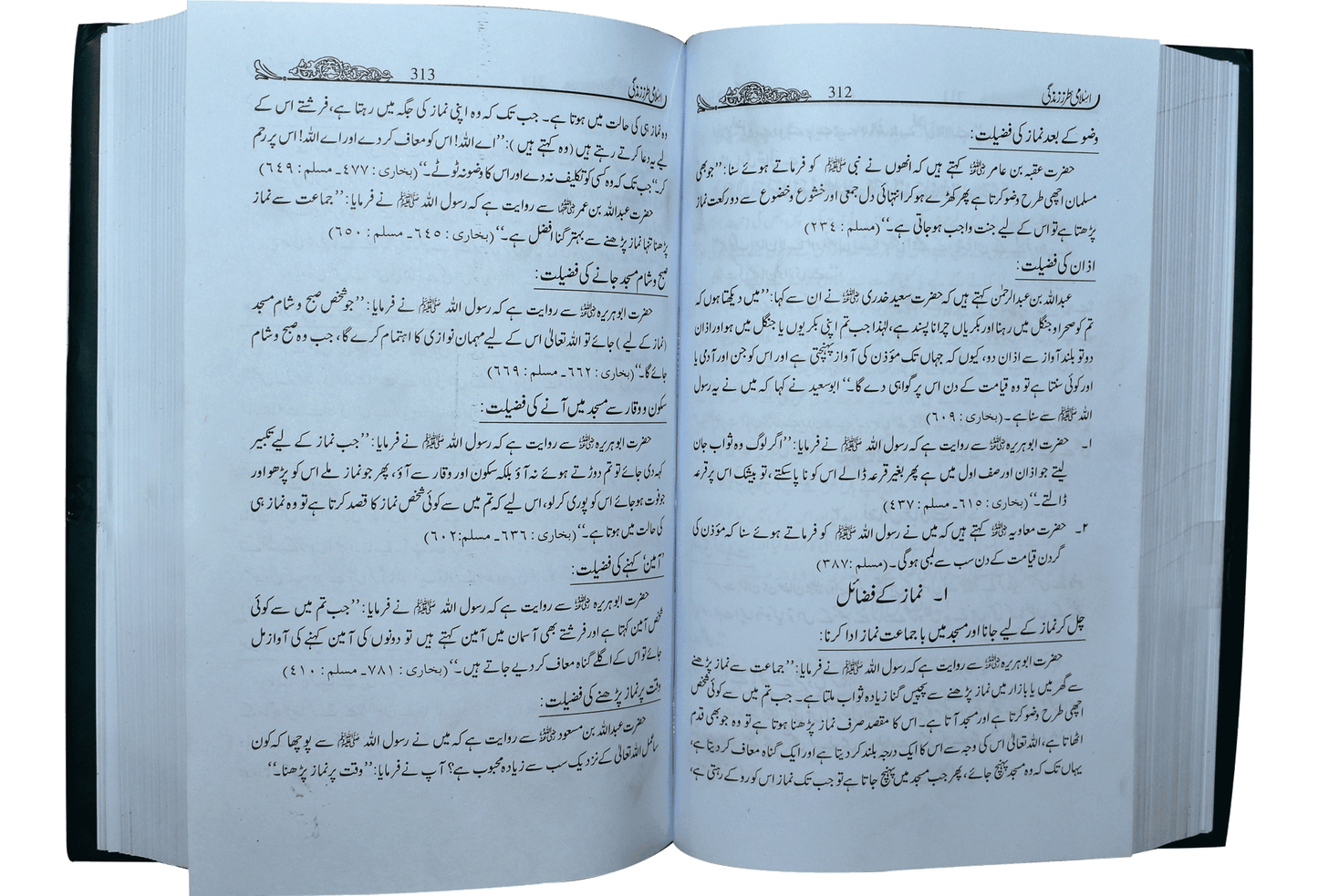 Islami Tarz E Zindgi (Jild 1)