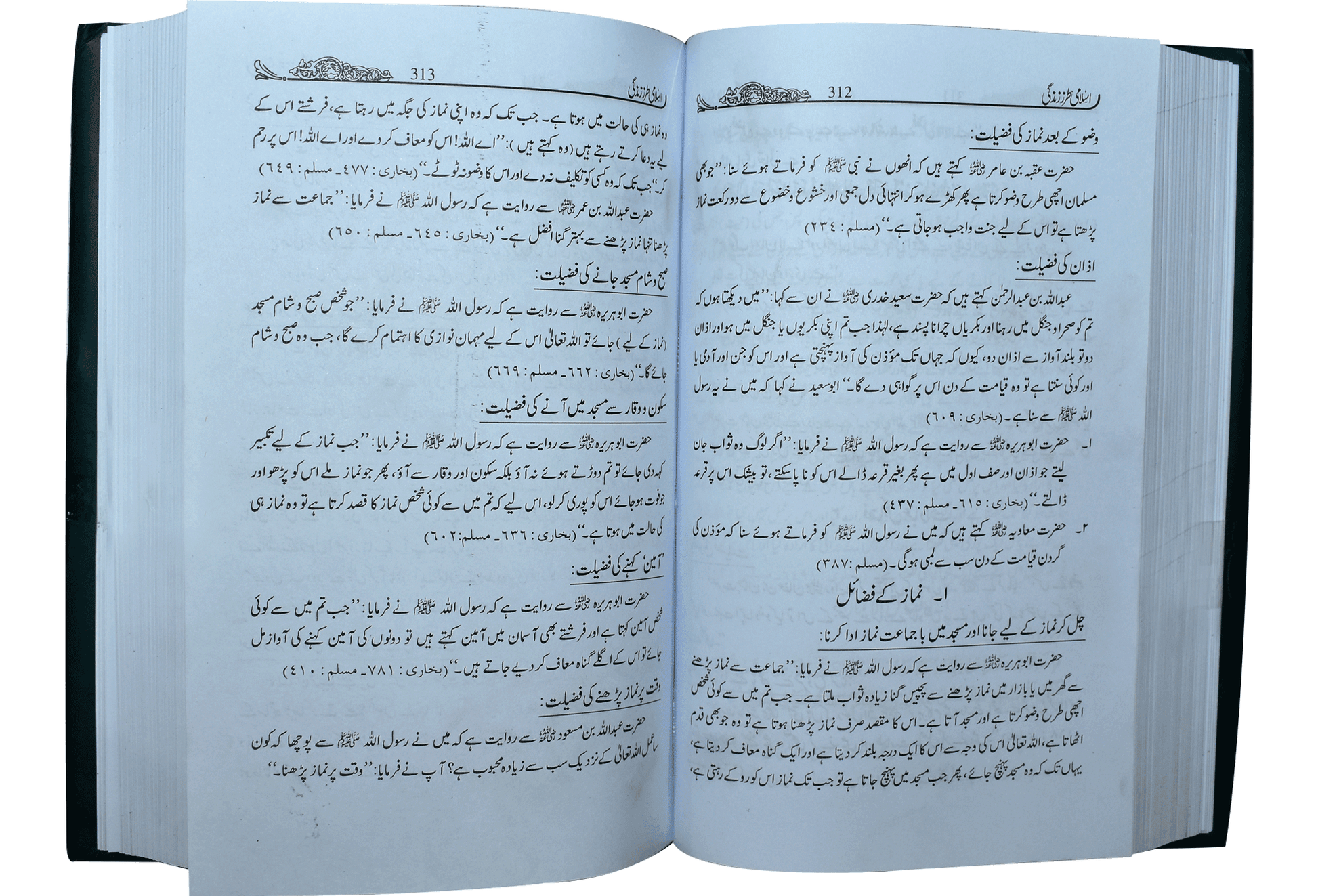 Islami Tarz E Zindgi (Jild 1)