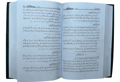 Islami Tarz E Zindgi (Jild 1)