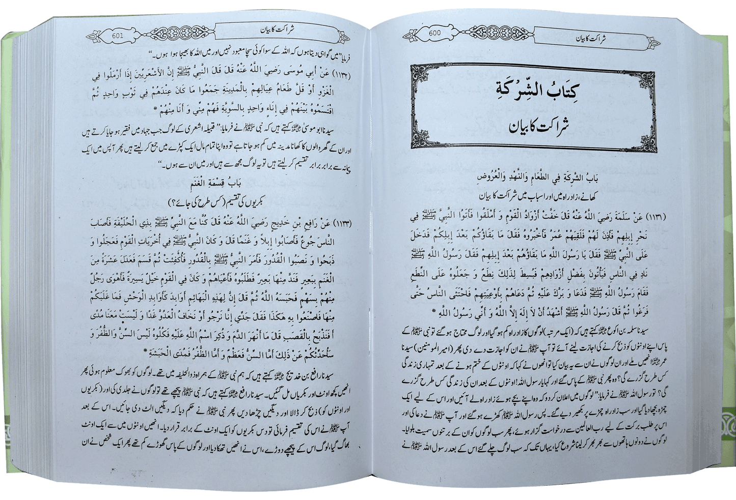 Mukhtasar Sahih Bukhari (Large)