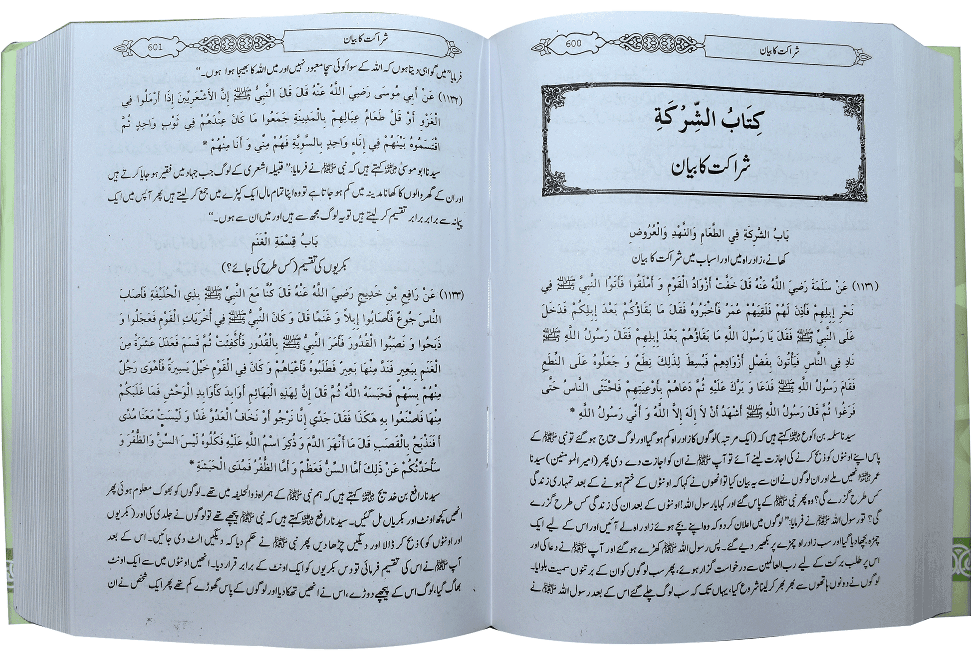 Mukhtasar Sahih Bukhari (Large)