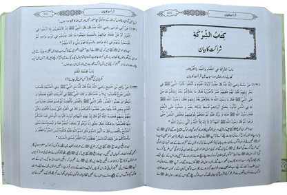 Mukhtasar Sahih Bukhari (Large)