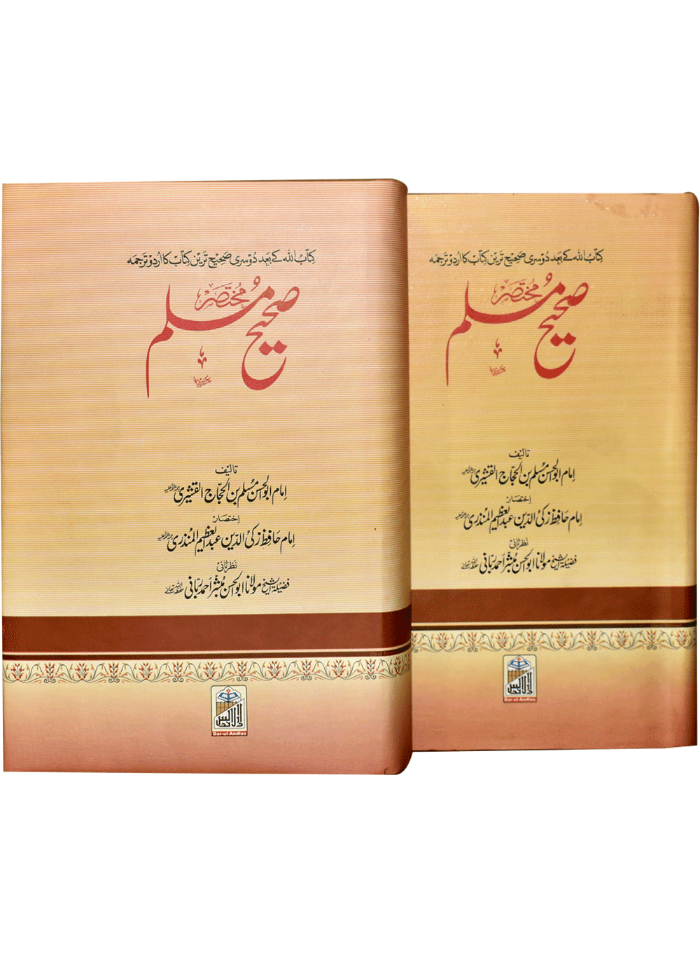 Mukhtasar Sahih Muslim (2 volumes set)