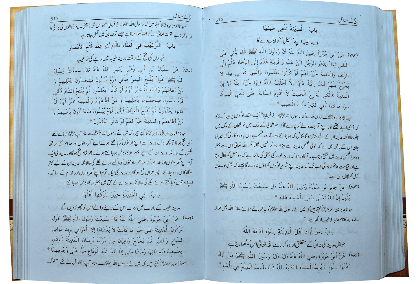 Mukhtasar Sahih Muslim (2 volumes set)