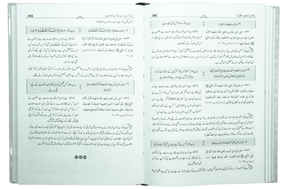 Mukhtasir Sahih Bukhari 1 /2 Local