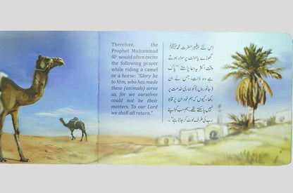 Nabi Kareem (SAW) for Children (12 Books Pack)