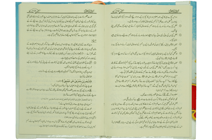 Ideal Ki Talash (By Abu Ali Abdul Wakeel)