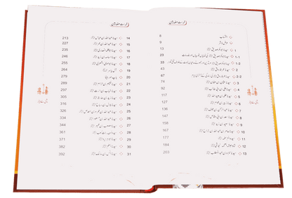Roshni Key Minaar (Seerat-E-Sahaba)