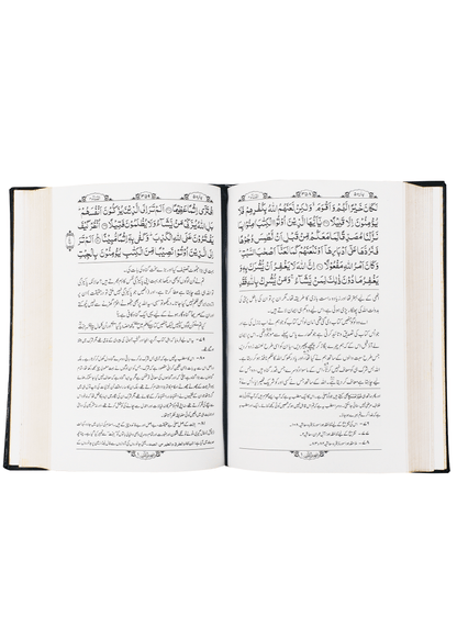 Tafheem ul Quran (Deluxe Edition)
