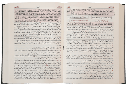 Tafseer Ahsan Ul Bayyan (Imported)