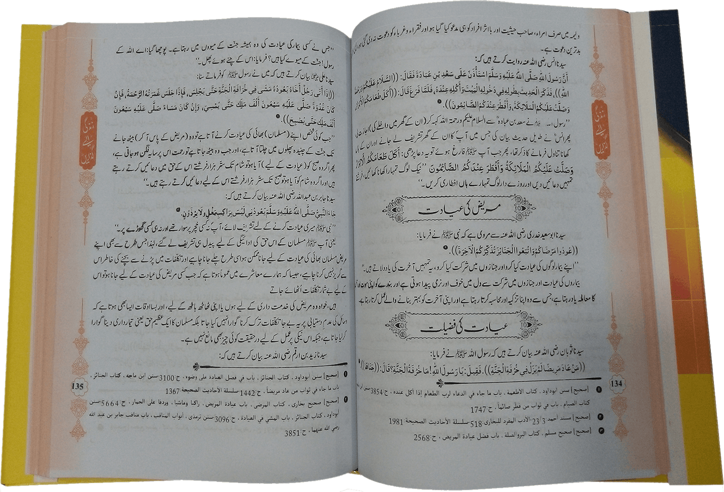 Zindagi Aisay Guzarain