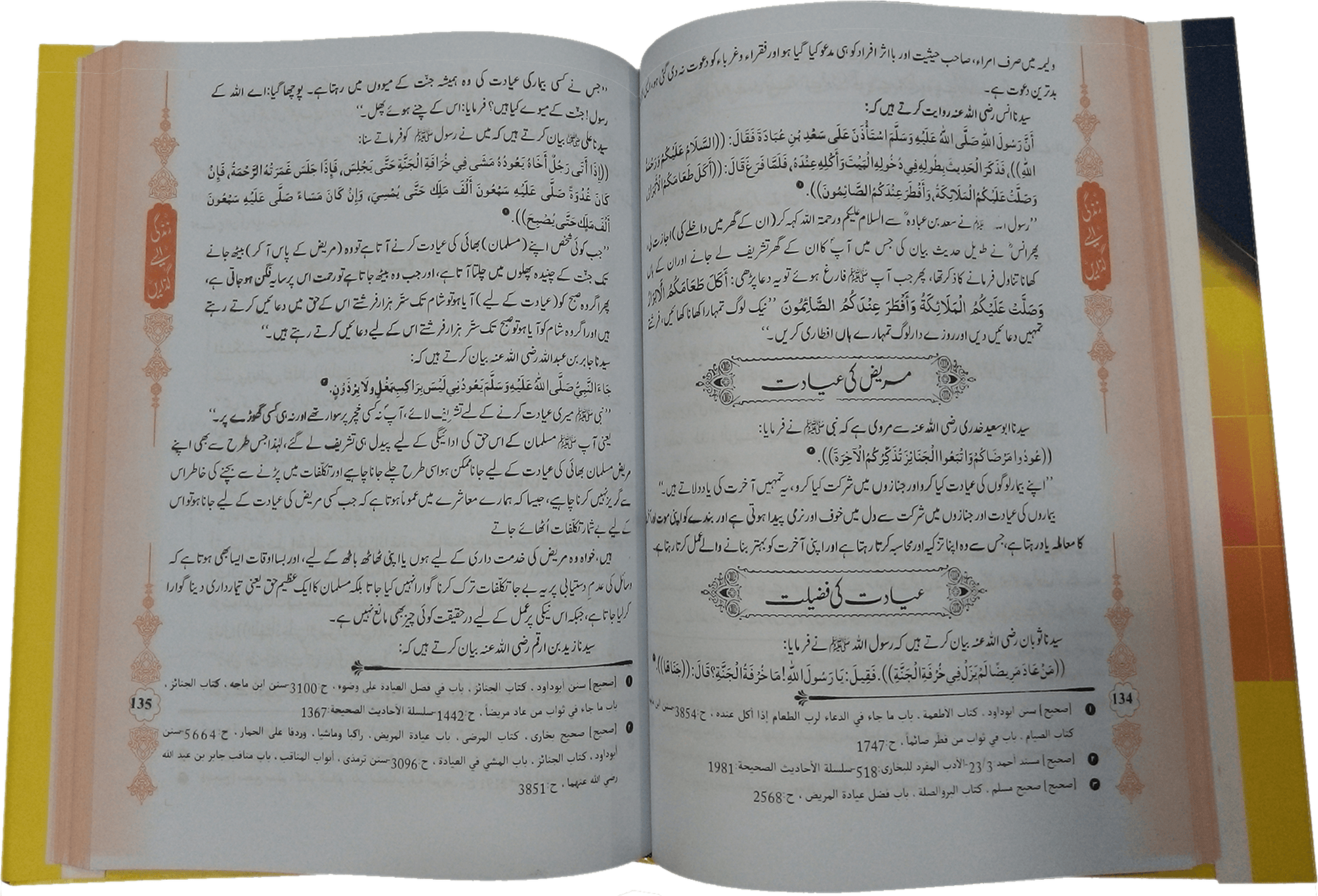 Zindagi Aisay Guzarain