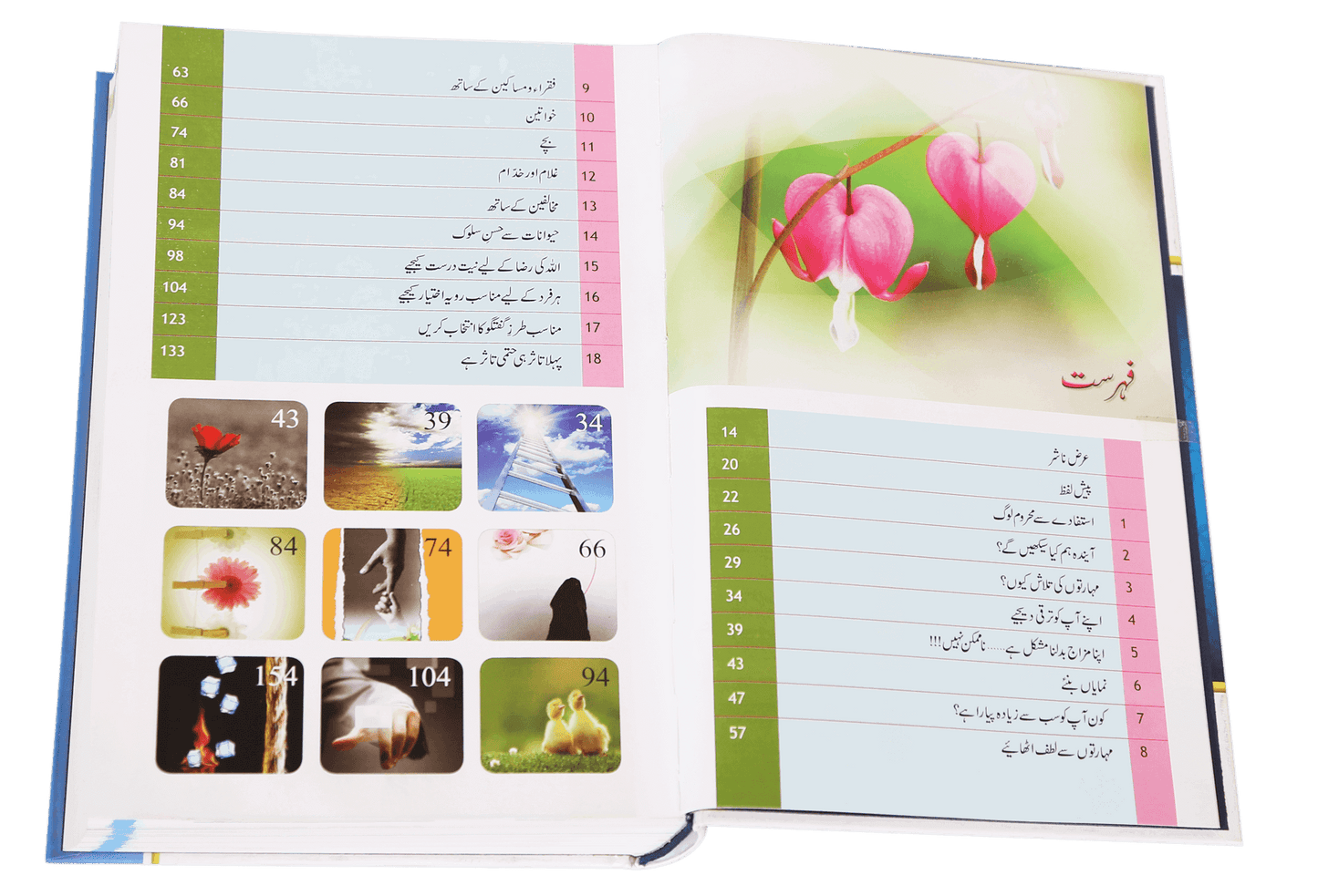 Zindagi Se Lutf Uthaye (Imported - Hard Cover)