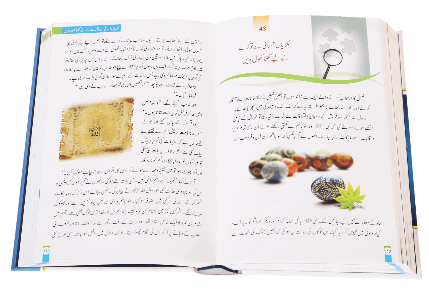 Zindagi Se Lutf Uthaye (Imported - Hard Cover)