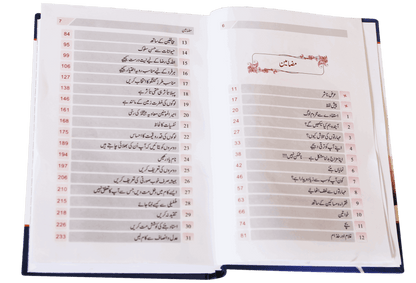 Zindagi Se Lutf Uthaye (Local)